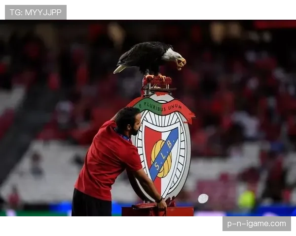 布鲁诺关键数据亮眼,引领葡萄牙队欧洲杯胜利之路 布鲁诺关键数据亮眼,引领葡萄牙队欧洲杯胜利之路